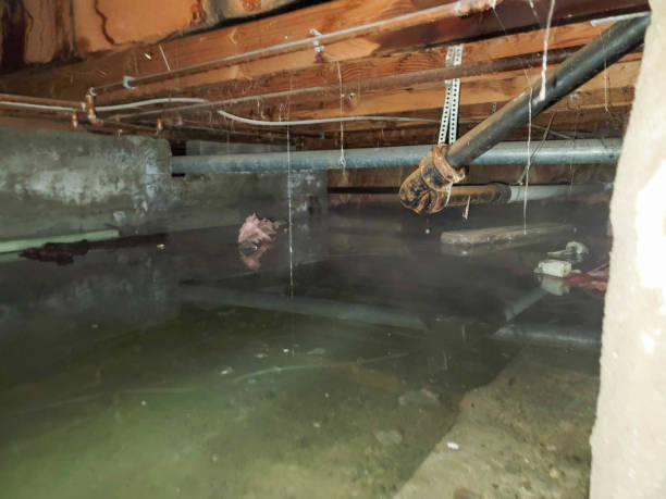 Best Fire Damage Restoration  in Marysville, PA