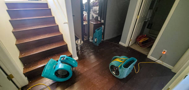  Marysville, PA Water damage restoration Pros