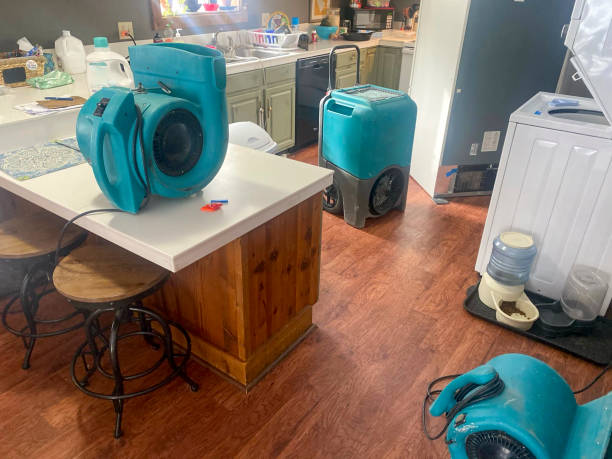 Best 24-hour water damage restoration  in Marysville, PA