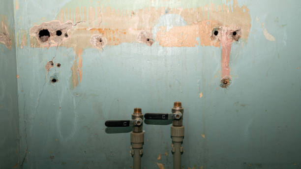 Best Mold removal after water damage  in Marysville, PA