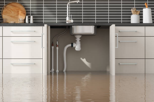 Best Commercial water damage restoration  in Marysville, PA