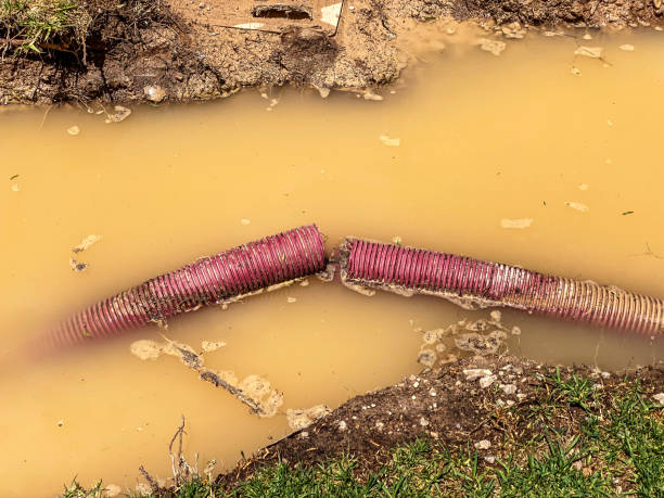 Best Water damage restoration experts  in Marysville, PA